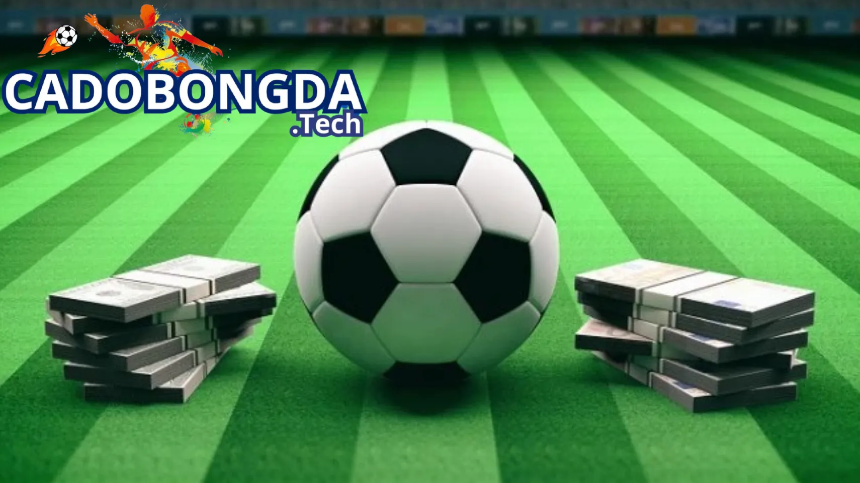 Cá độ bóng đá trực tuyến là gì? Là một bet thủ nên biết đến