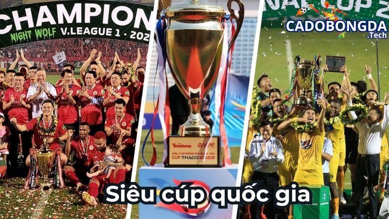 Đôi nét về siêu cúp quốc gia Việt Nam